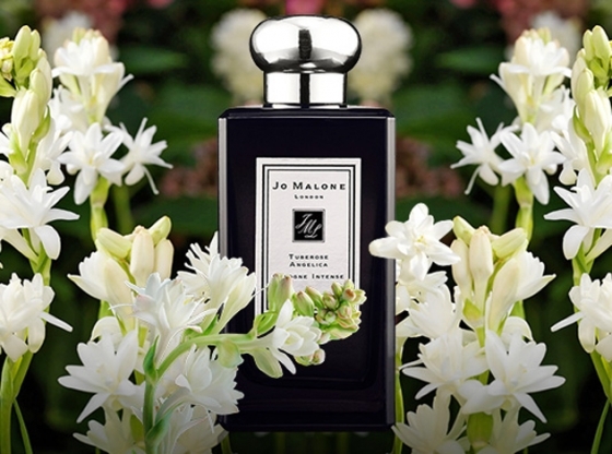 在庫あ低価】 Jo MALONE LONDON チューべローズ アンジェリカ コロン