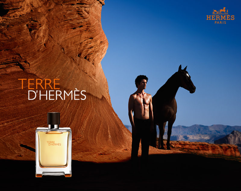 HERMES エルメス テールドゥエルメス 100ml - 香水(男性用)