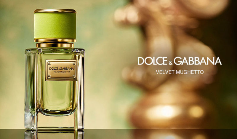 DOLCE\u0026GABBANA 香水 ベルベット ミュゲ tic-guinee.net