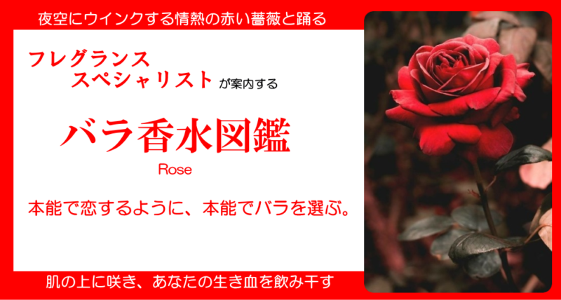 81%OFF!】 トルコ産 バラの香水 IZZ Powder Rose helgapizzeria.com