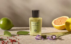 ゲラン】シャリマー フィルトル ドゥ パルファン（ティエリー