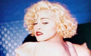 歌手モード図鑑