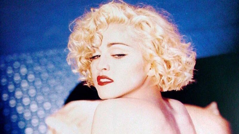 歌手モード図鑑